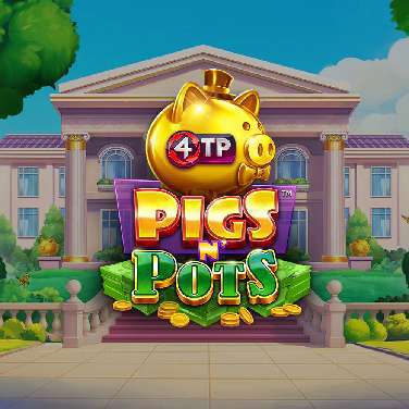 4 TP Pigs n' Pots
