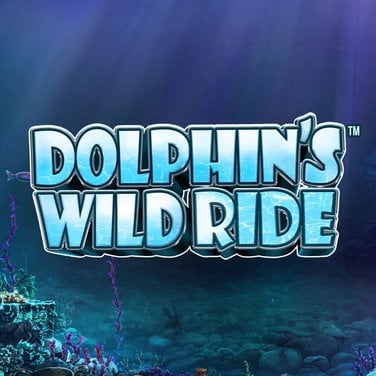 Dolphins Wild Ride