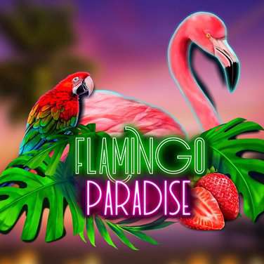 Flamingo Paradise