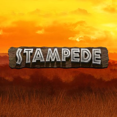 Stampede