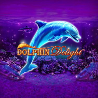 Dolphin Delight