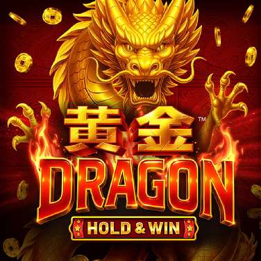 Coins of Dragon