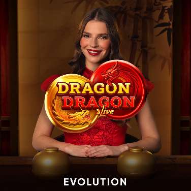 Dragon Dragon