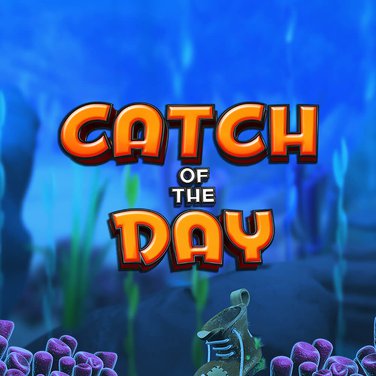 Catch of The Day
