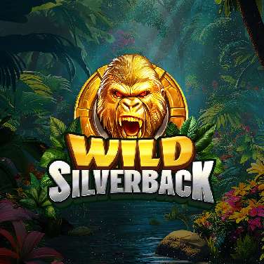 Wild Silverback