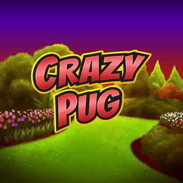 Crazy Pug