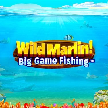 Wild Marlin - Big Game Fishing
