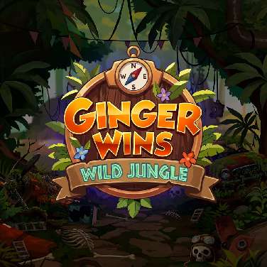 Gingerwins
