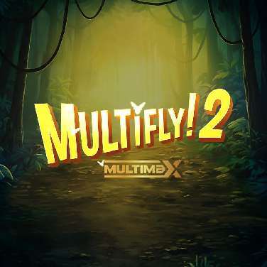 MultiFly! 2 MultiMax