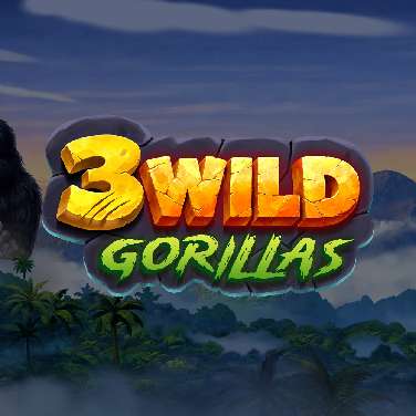 3 Wild Gorillas