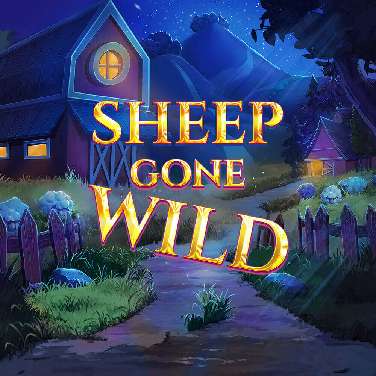 Sheep Gone Wild