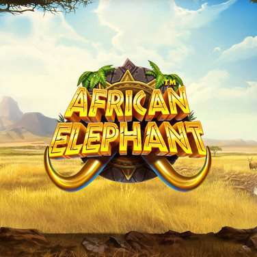 African Elephant