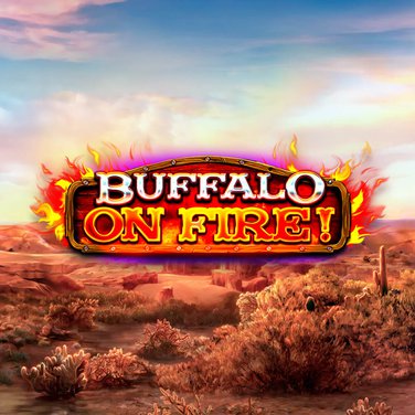 Buffalo On Fire!