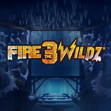 Fire in the Wildz