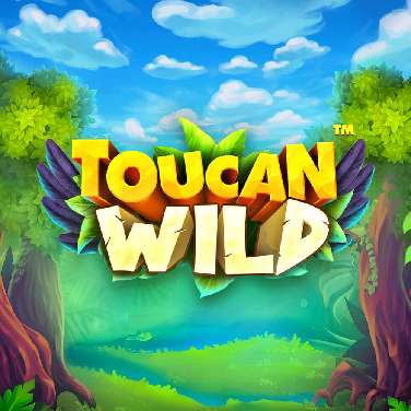 Toucan Wild
