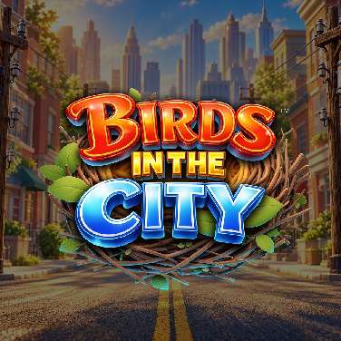Birds In The City