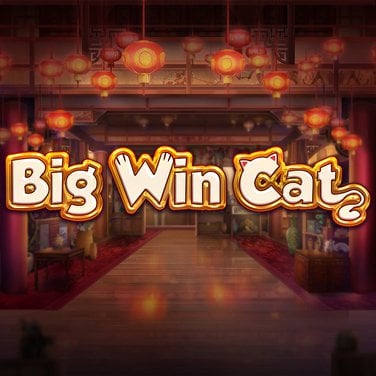 Big Win Cat