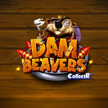 Dam Beavers