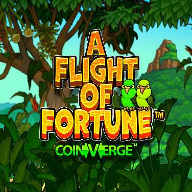 A Flight of Fortune