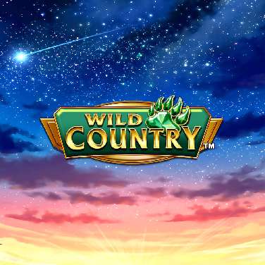 Wild Country