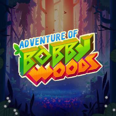 Adventure of Bobby Woods