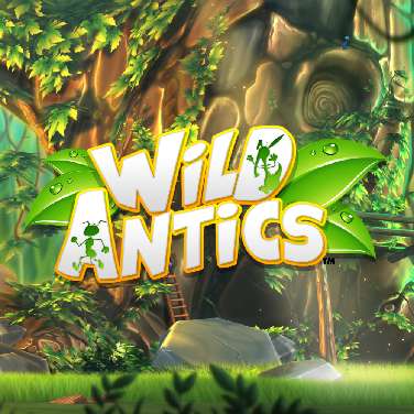 Wild ANTics