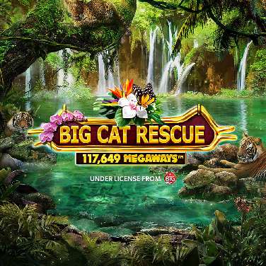 Big Cat Rescue Megaways