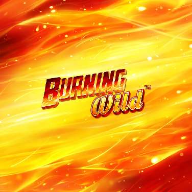 Burning WILD