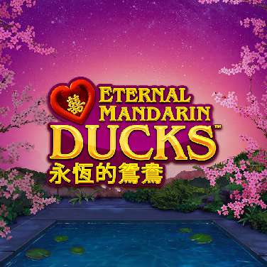 Eternal Mandarin Ducks