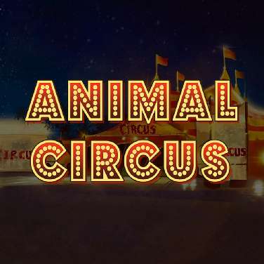 Animal Circus