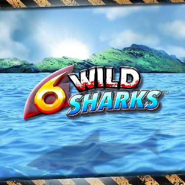6 Wild Sharks