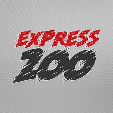 Express 200 Scratch