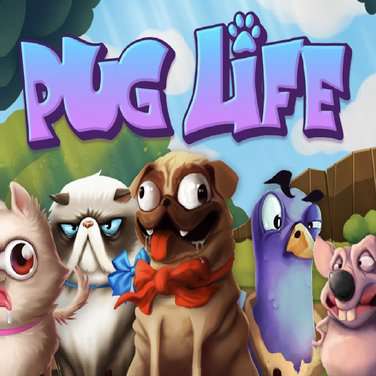 Pug Life