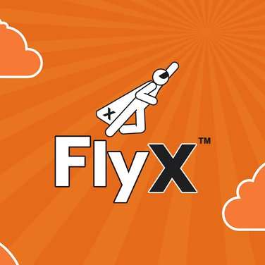 FlyX
