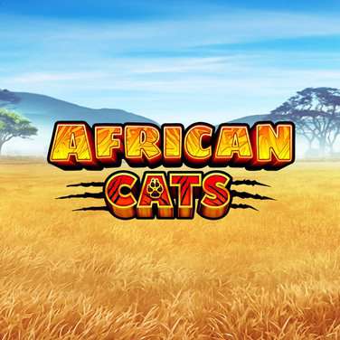 African Cats