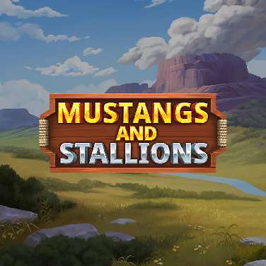Mustang and Stallions