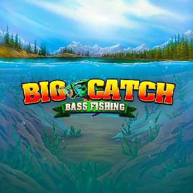 Big Catch Bass Fishing