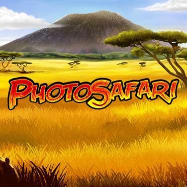 Photo Safari