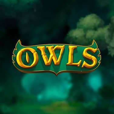 Owls