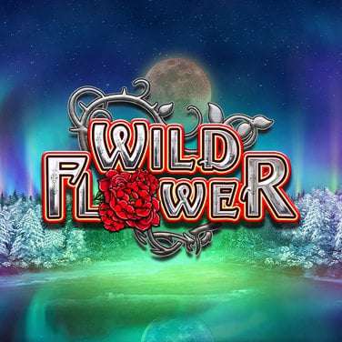 Wild Flower