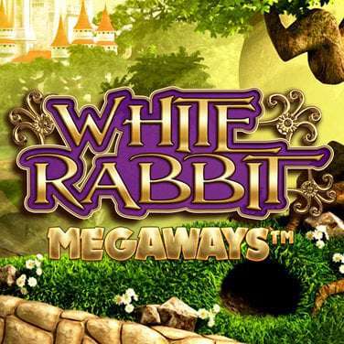 White Rabbit