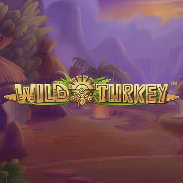 Wild Turkey