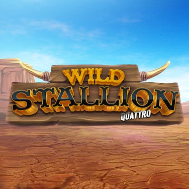 Wild Stallion